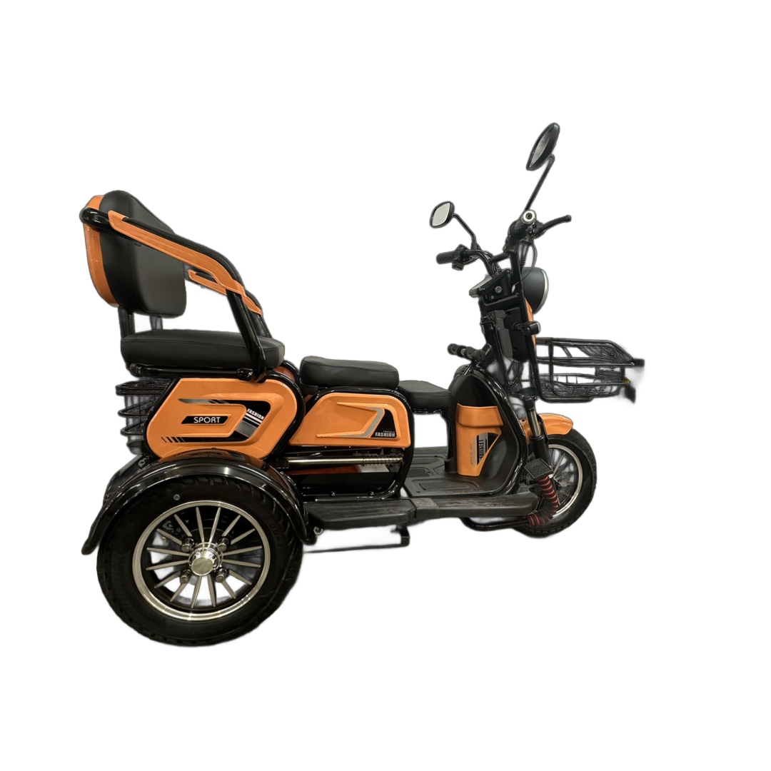 Triporteur double 800 watt
