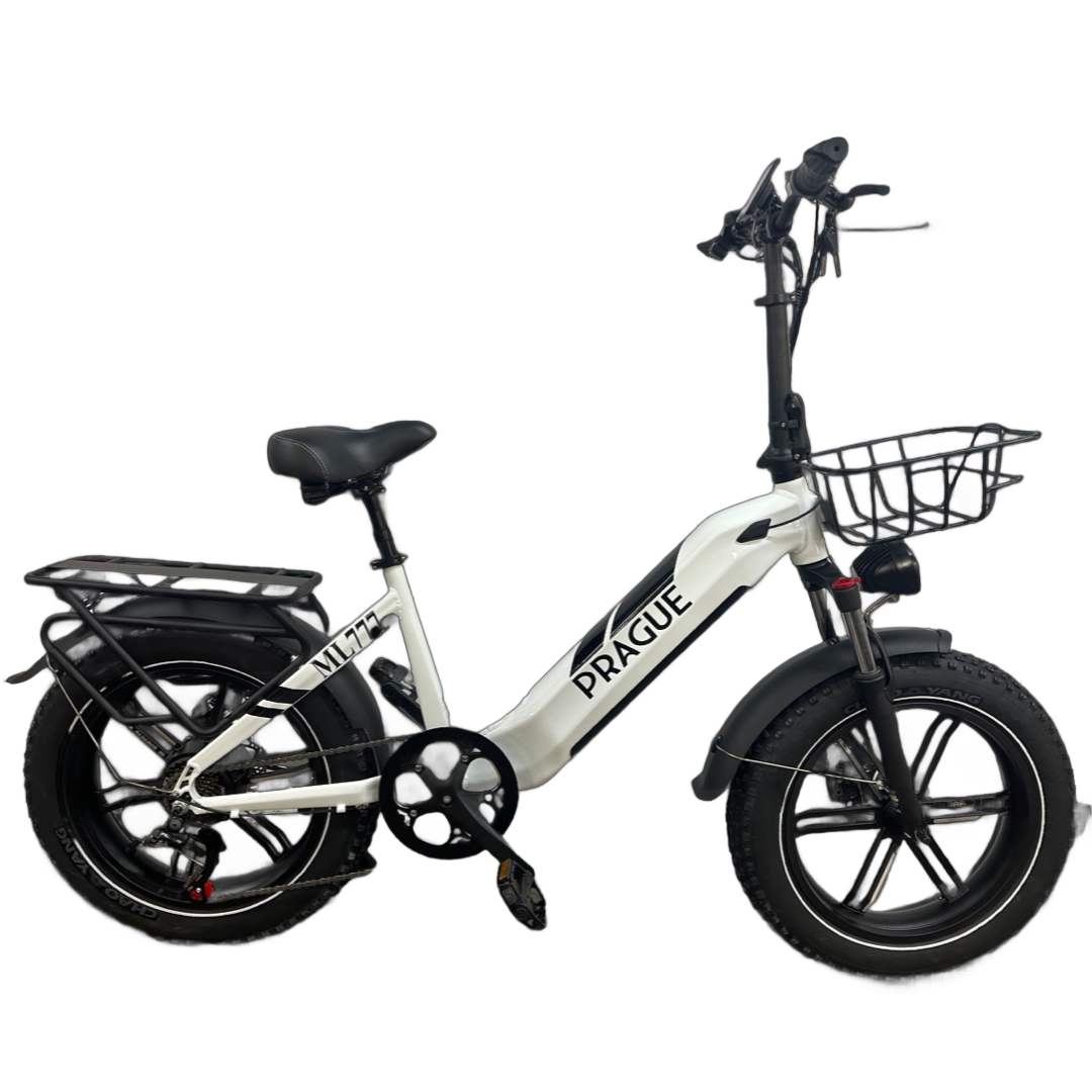 Vélo électrique tout terrain, 4 saisons low step 750 watt