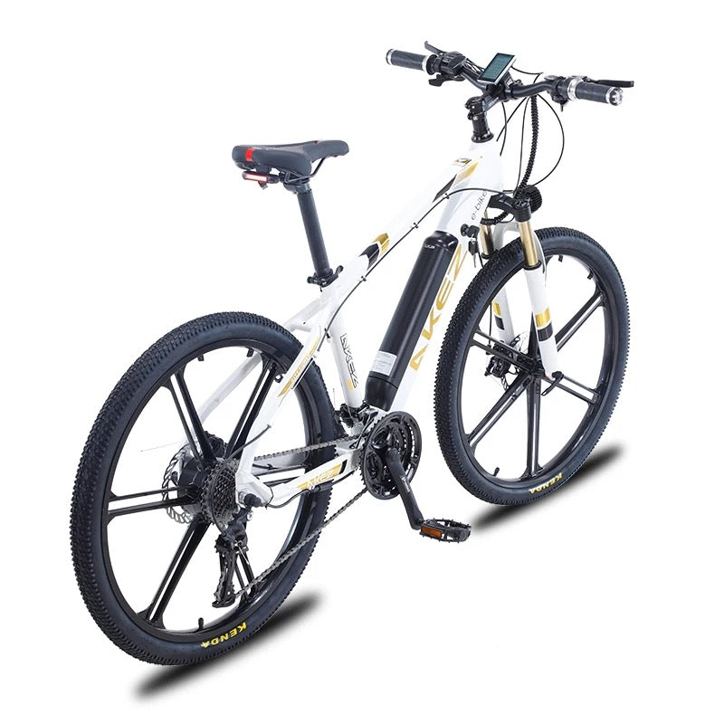 Vélo de montagne électrique