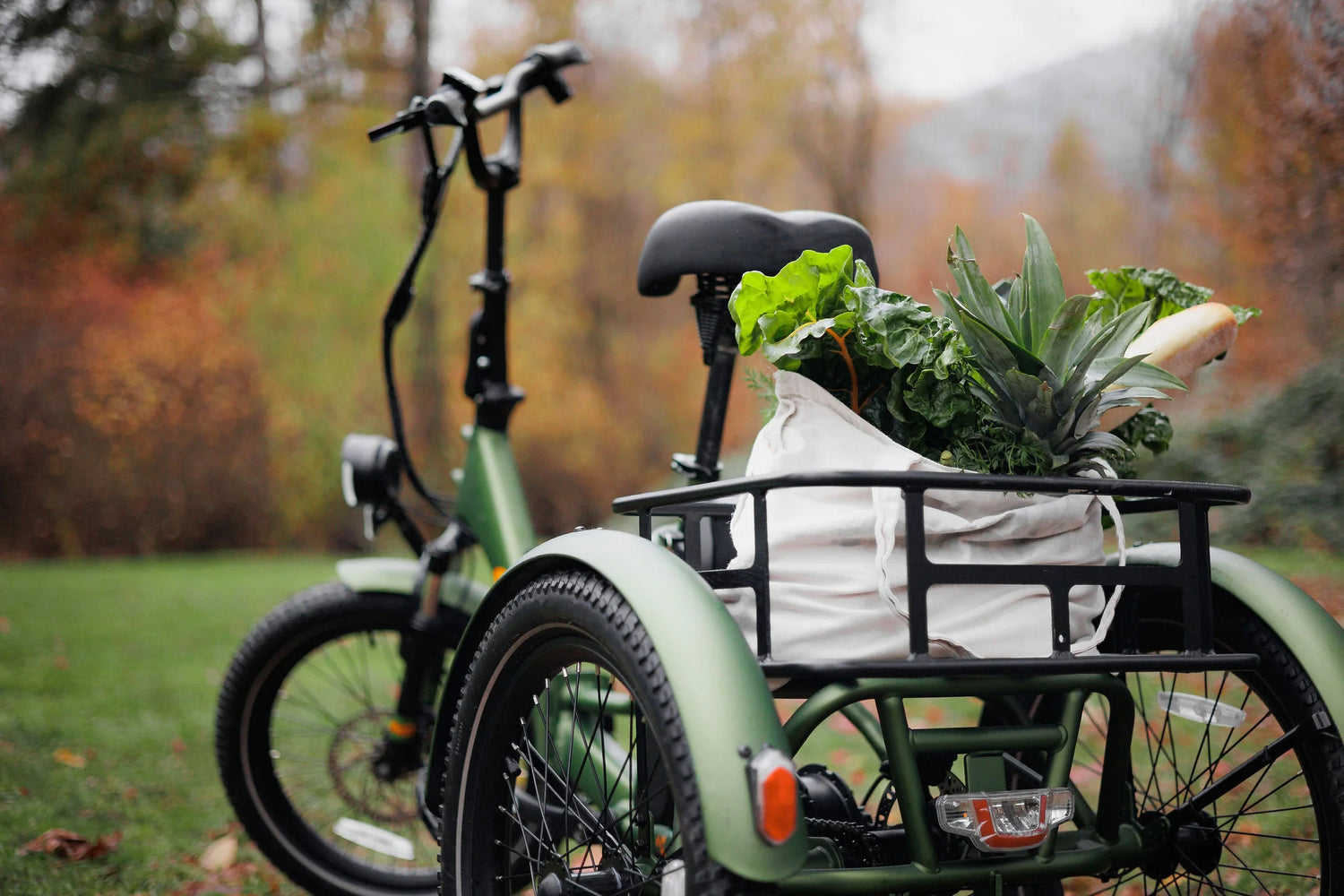 Tricycles électriques