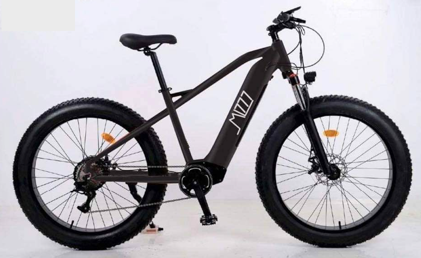 Fatbikes électriques