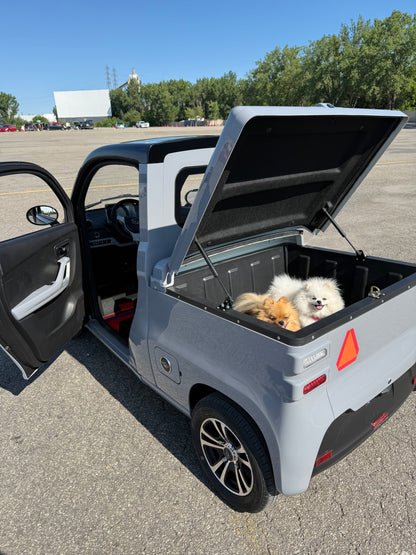 Ecolocycle Connect Cargo