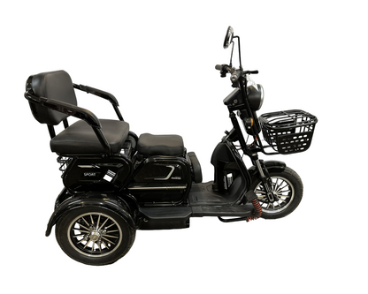 Triporteur double 800 watt