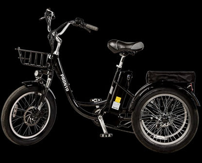 ECOLOCYCLE PRONTO Tricycle électrique