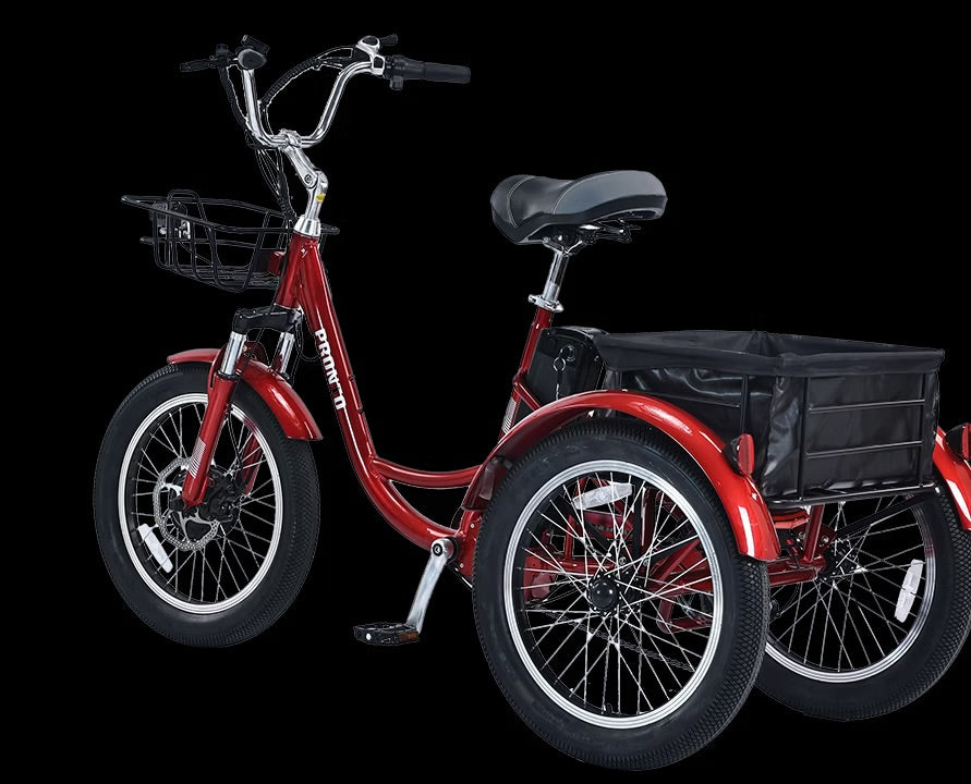 ECOLOCYCLE PRONTO Tricycle électrique