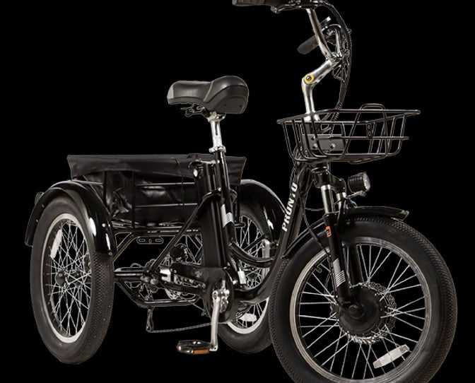 ECOLOCYCLE PRONTO Tricycle électrique