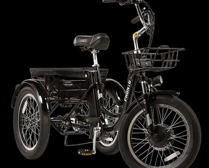 ECOLOCYCLE PRONTO Tricycle électrique