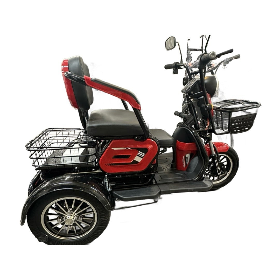 Triporteur double 800 watt