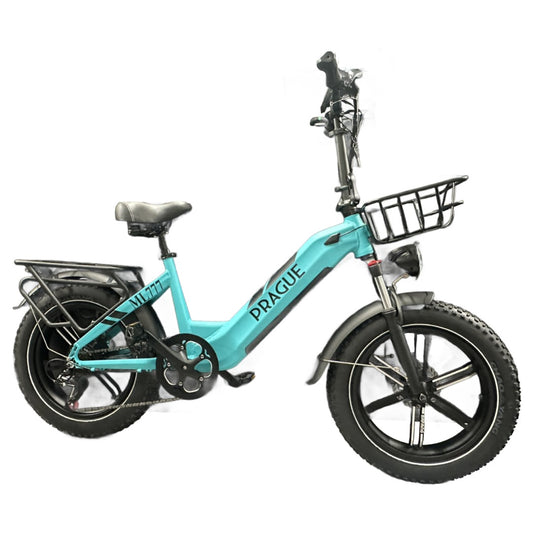 Vélo électrique tout terrain, 4 saisons low step 750 watt