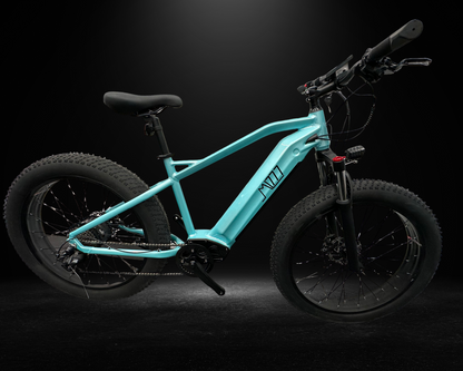 ML777 1000 W – Fatbike électrique 4 saisons